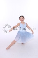 Seitz_Shannon_CCB25_2214